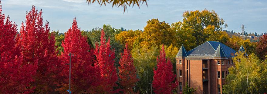 Alexander Hall in the fall with bright red trees