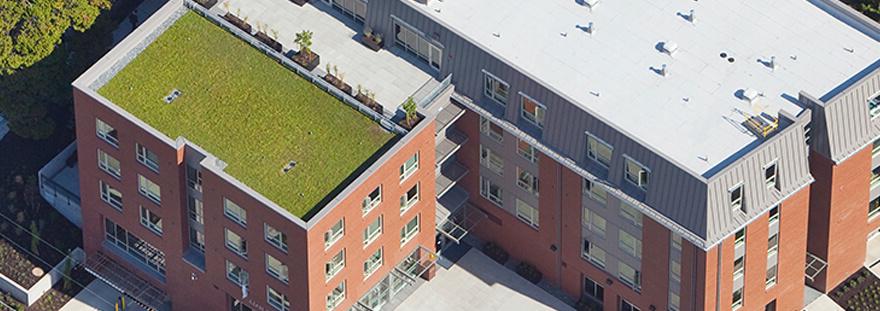 a green roof on top of Arnett Hall